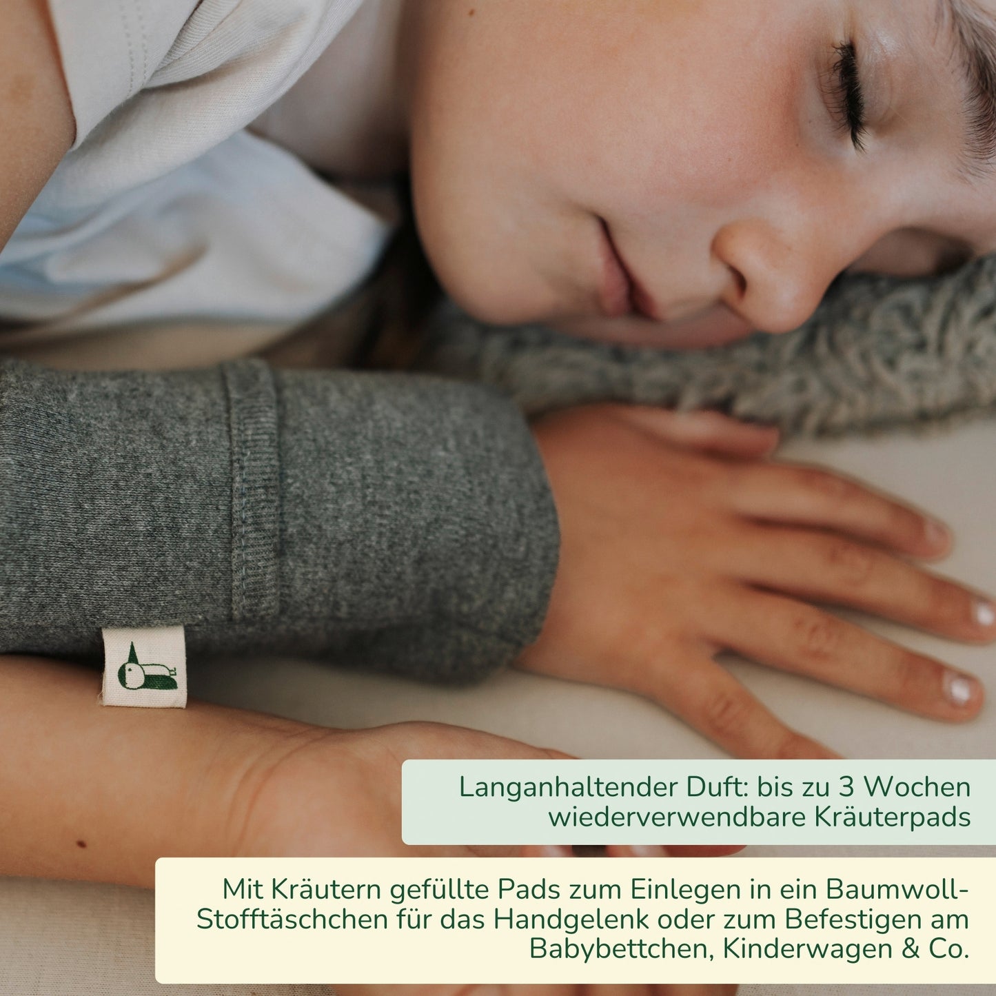Kräuterpads, Traumzeit