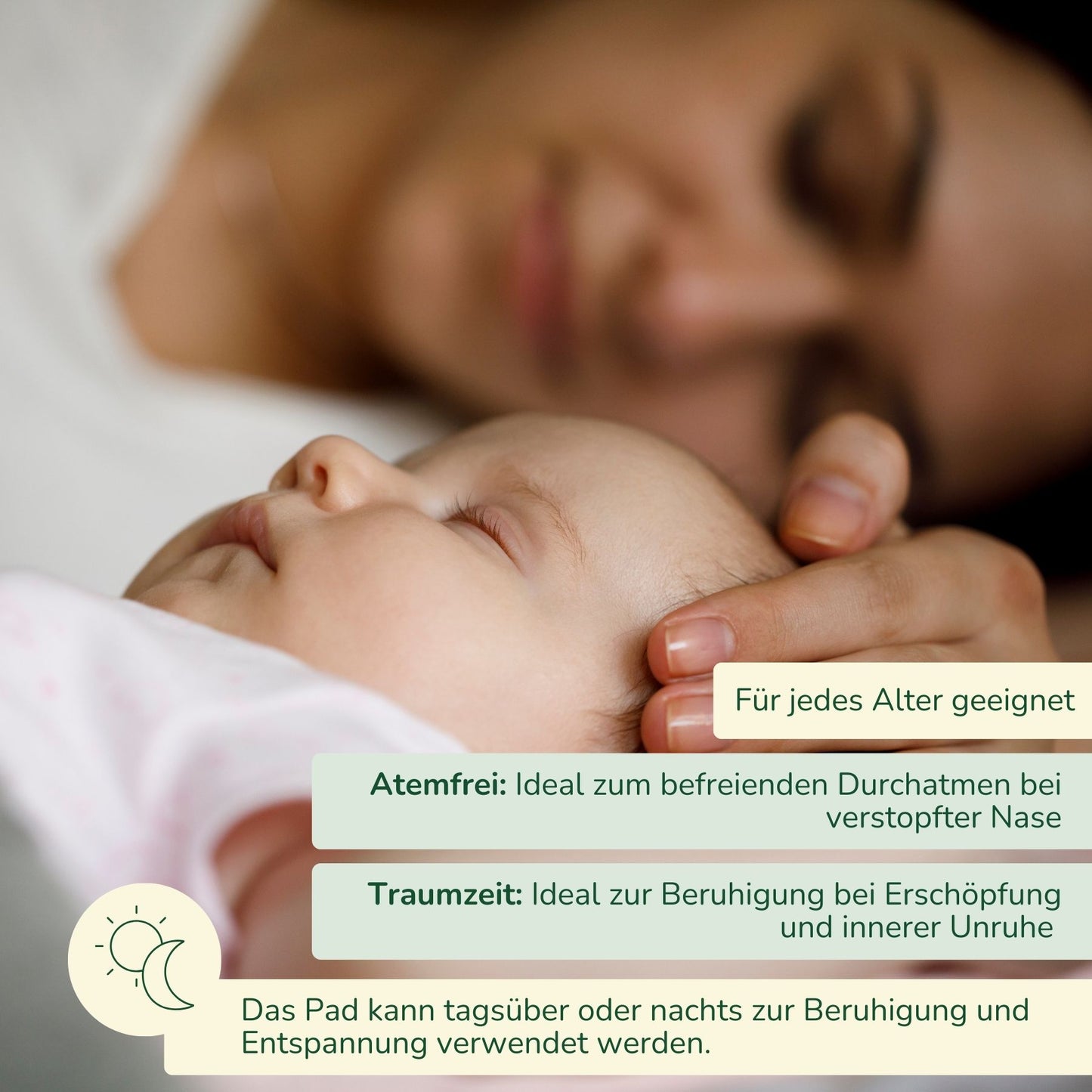 Kräuterpads, gemischter Nachfüllpack