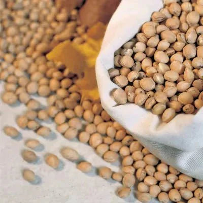 Rapssamen, Traubenkerne, Kirschkerne – Praktische Füllmaterialien aus der Natur