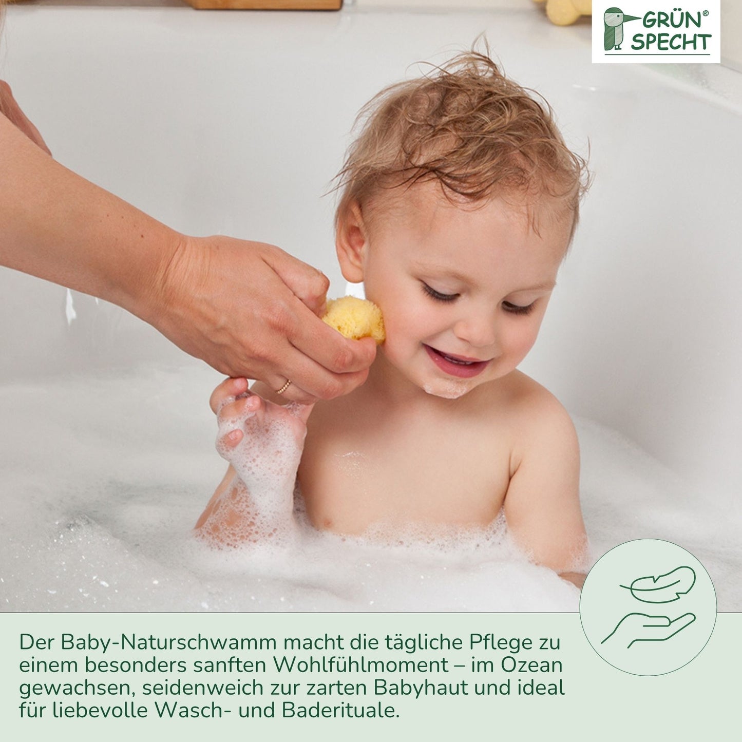 Baby-Naturschwamm, Zimocca-Schwamm