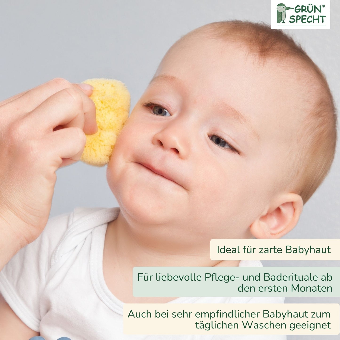 Baby-Naturschwamm, Zimocca-Schwamm