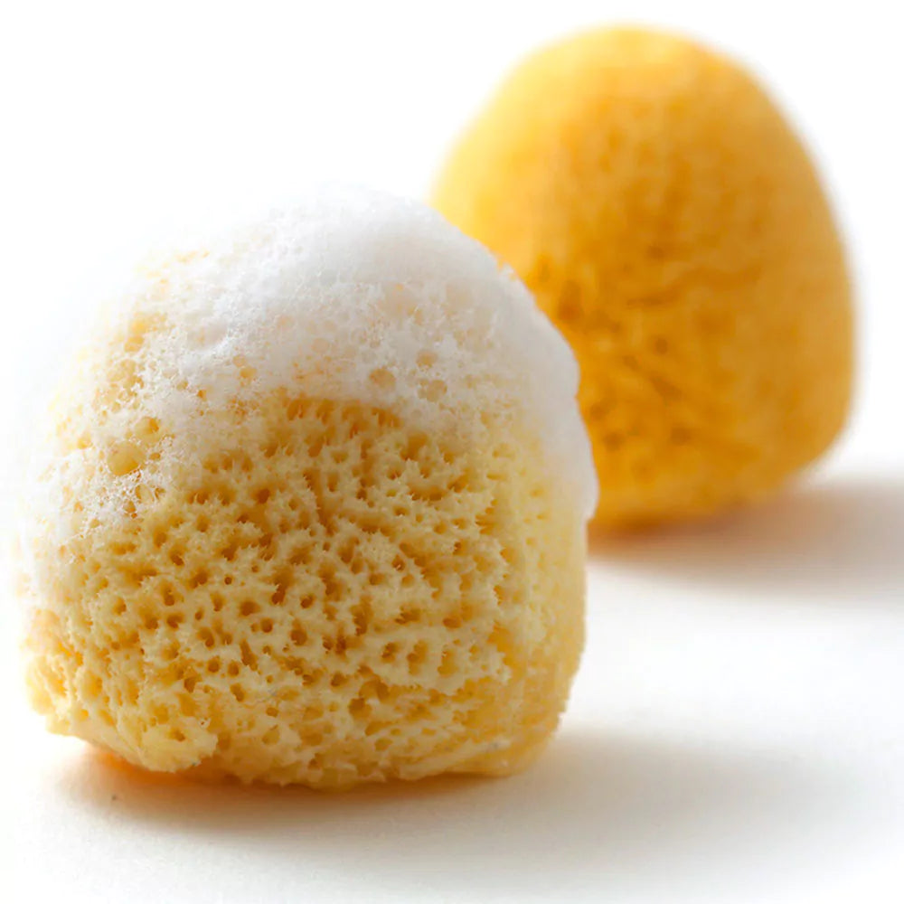 Natural sponge, Zimocca