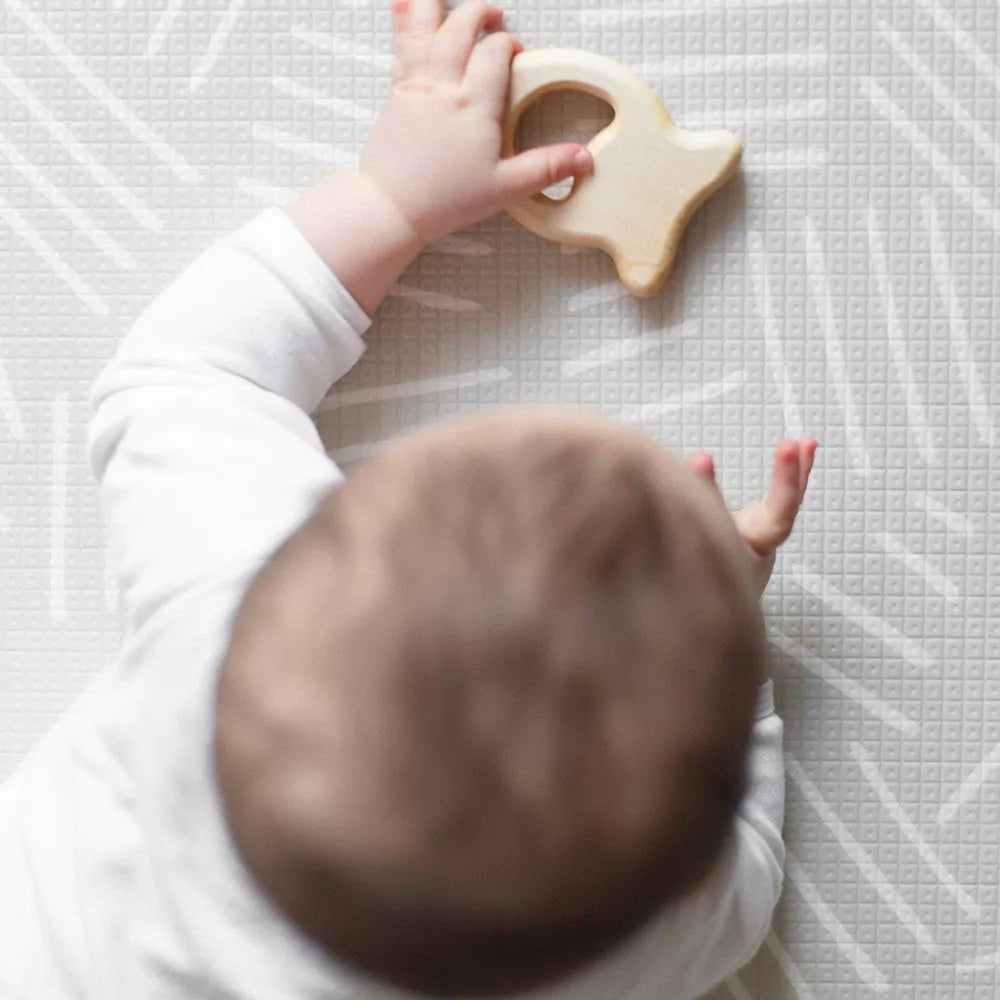 Edelsteinrassel, Fisch - 597-00 - GRÜNSPECHT Naturprodukte