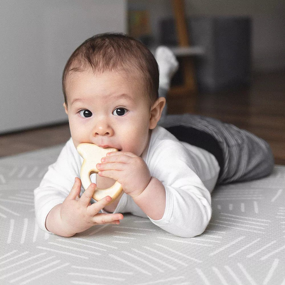 Edelsteinrassel, Fisch - 597-00 - GRÜNSPECHT Naturprodukte