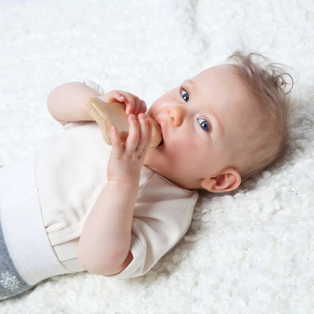 Edelsteinrassel, Fisch - 597-00 - GRÜNSPECHT Naturprodukte