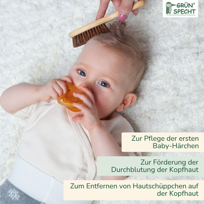 4260018196058_605-00_Natürliche Rosshaarbürste.png