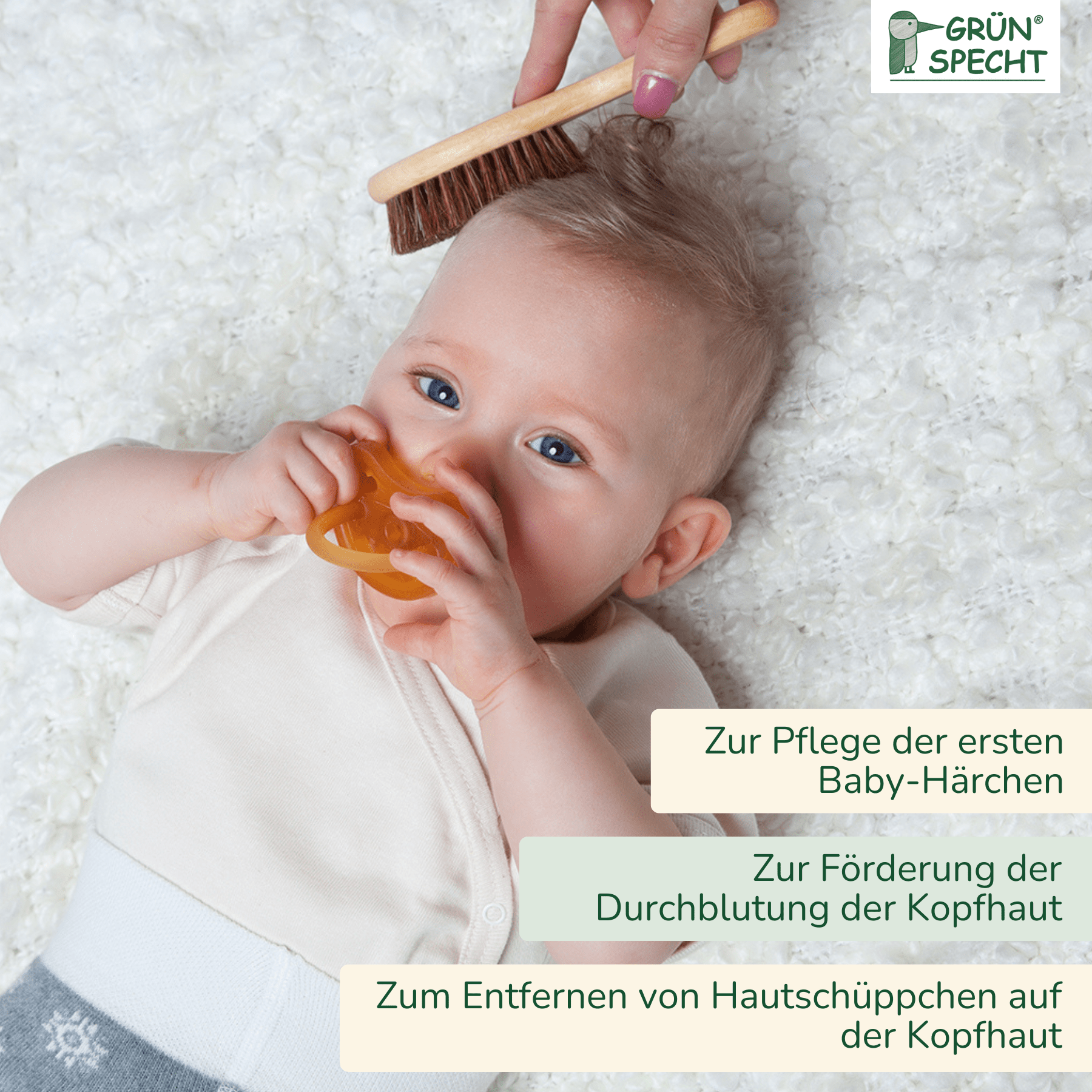 4260018196058_605-00_Natürliche Rosshaarbürste.png