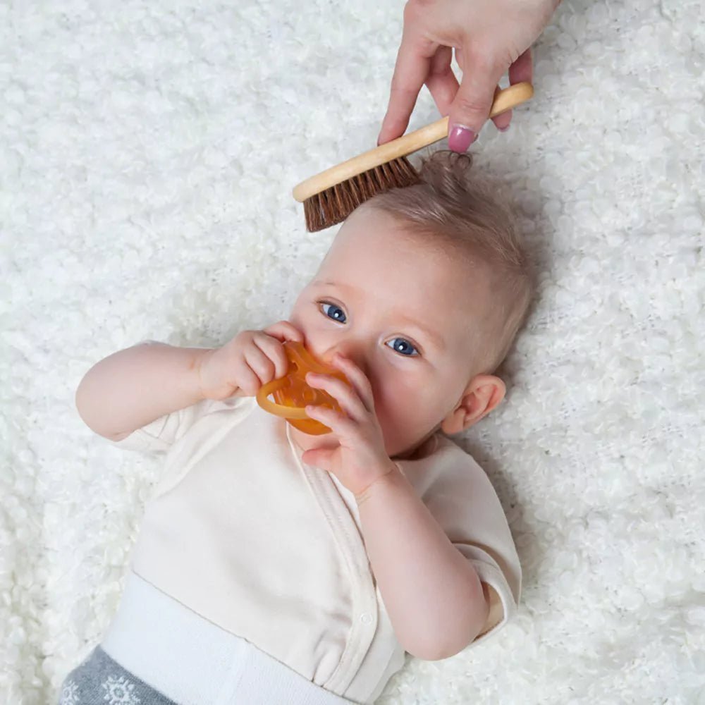 Natürliche Rosshaarbürste - 605-00 - GRÜNSPECHT Naturprodukte