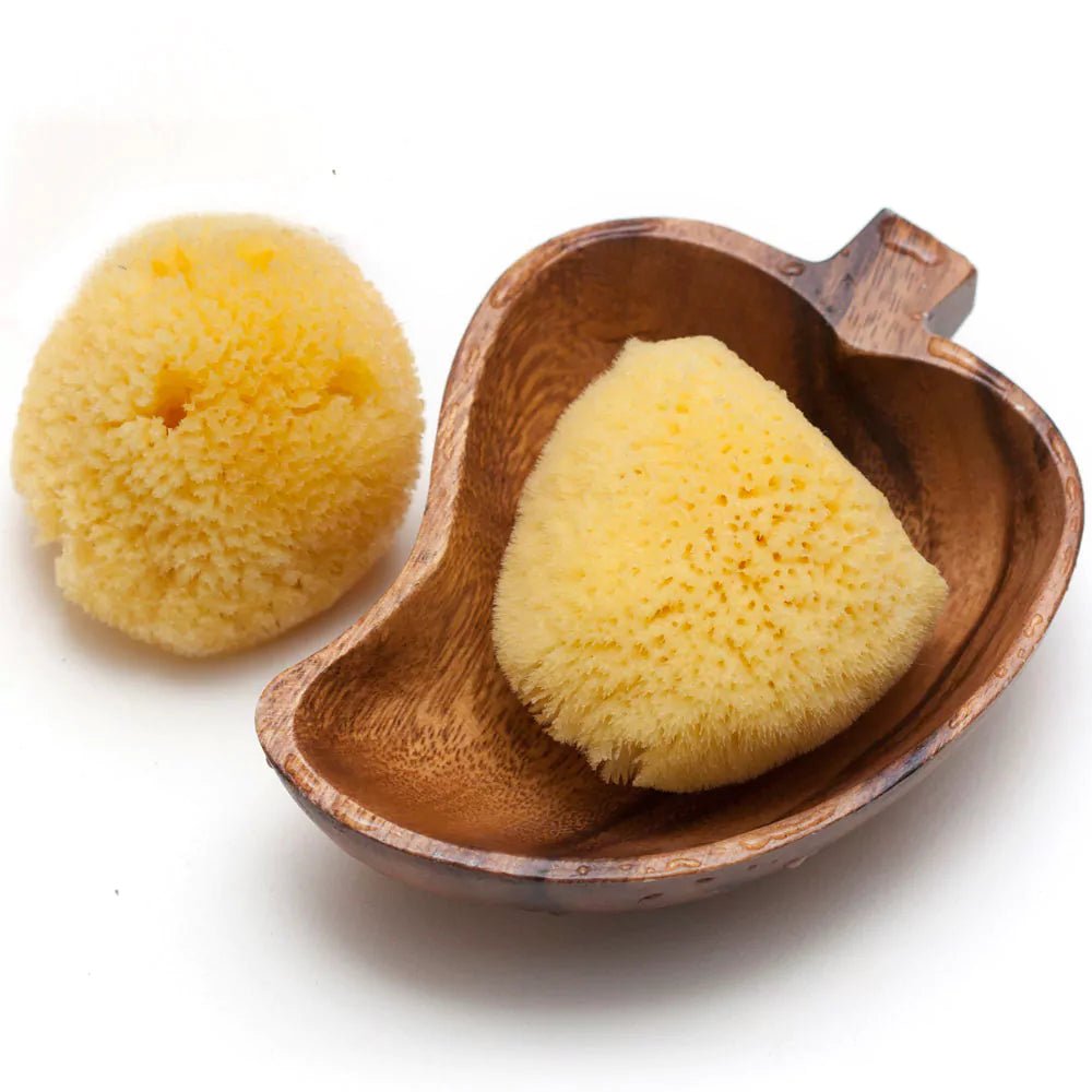 Naturschwamm, Zimocca - 510-V1 - GRÜNSPECHT Naturprodukte