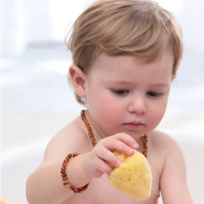 Naturschwamm, Zimocca - 510-V1 - GRÜNSPECHT Naturprodukte