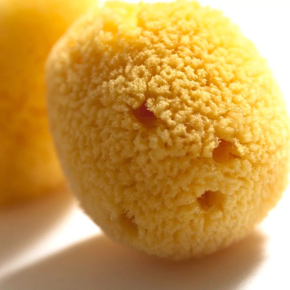 Naturschwamm, Zimocca - 510-V1 - GRÜNSPECHT Naturprodukte