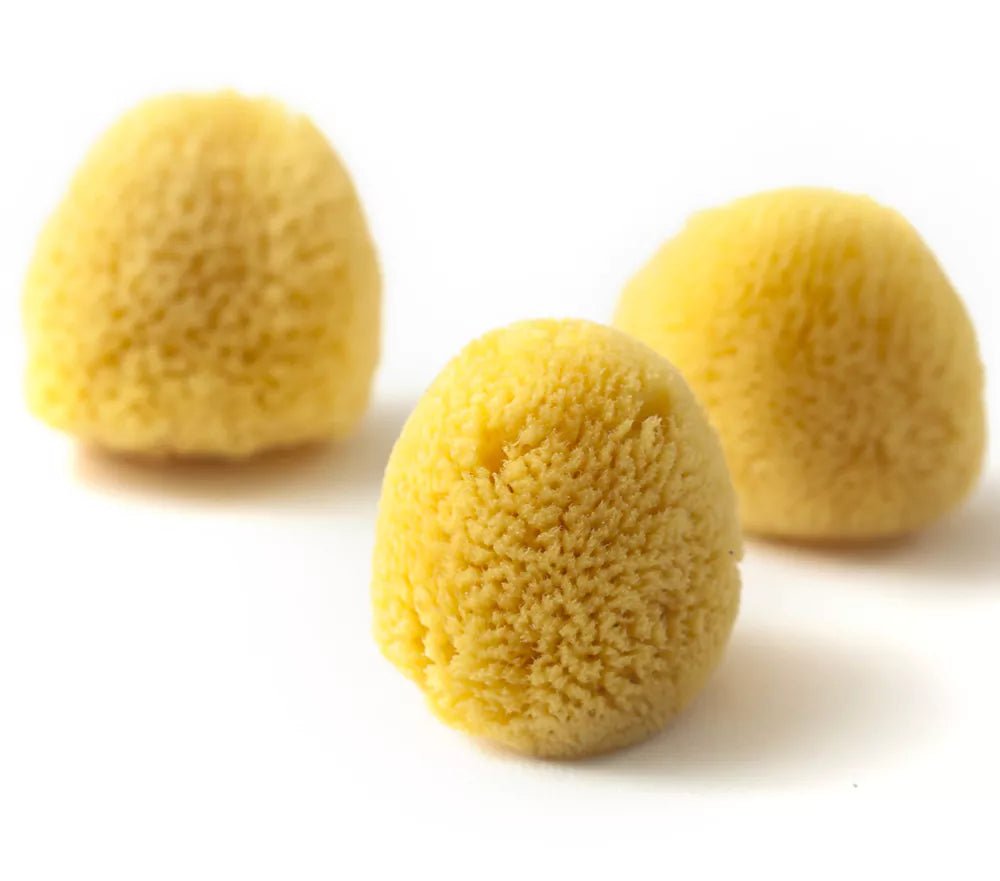 Naturschwamm, Zimocca - 510-V1 - GRÜNSPECHT Naturprodukte